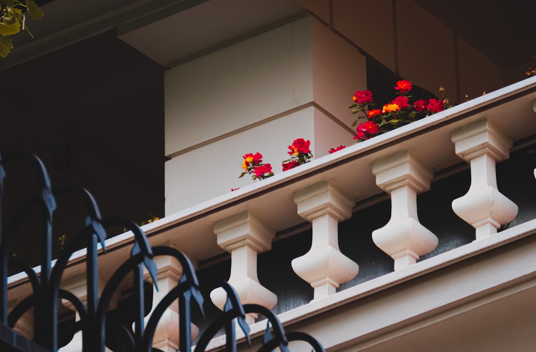 Photo balcony flowers